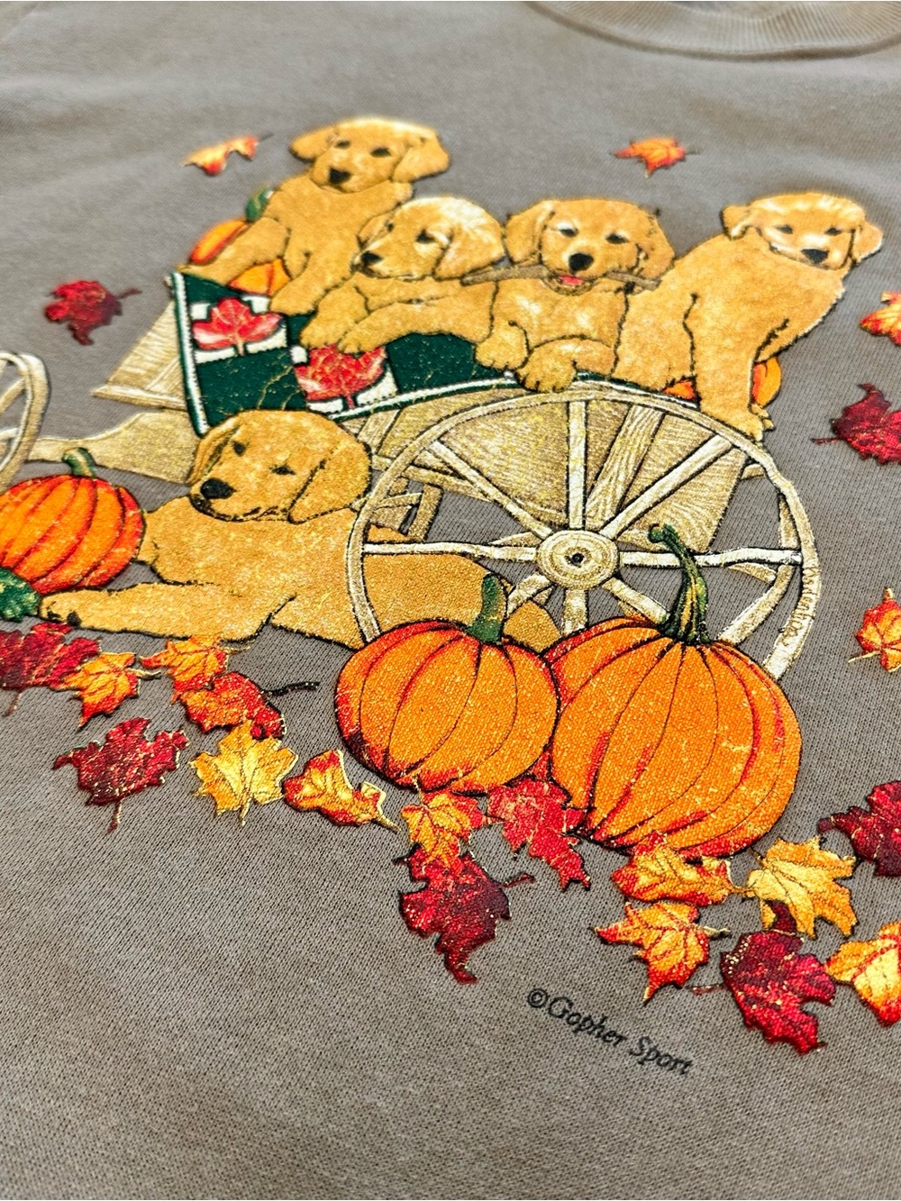 Vtg Russell Jerzees Puppy Dog Fall Halloween Pumpkin Sweatshirt USA Made, Medium